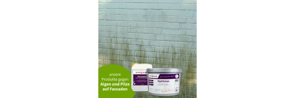 Algen auf Fassaden
