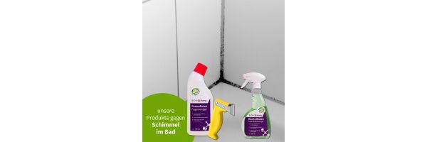 Schimmel im Bad