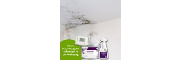 Schimmel in der Wohnung