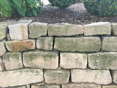 Grünbelag auf Steinen im Garten