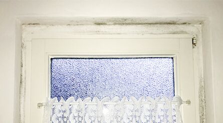 Falsches lüften mit Schimmel an den Fensterlaibungen