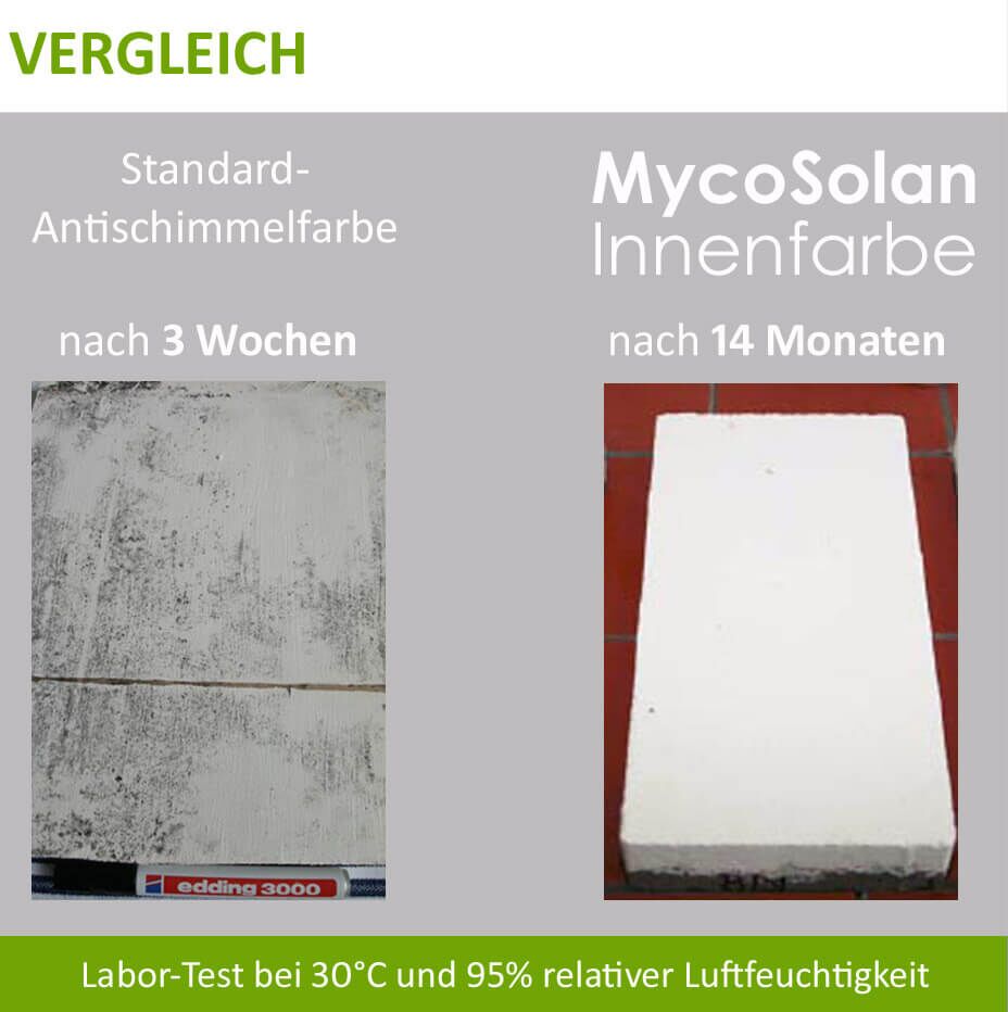 Mit Grünbelag bewachsenen Pflastersteinen an einer Hauseingangstür