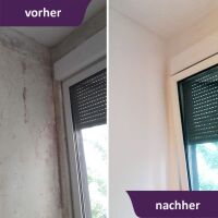 Schimmel-Sanier-Set