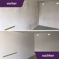 Schimmel-Sanier-Set