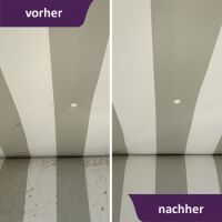 FungiSolan Schimmelentferner