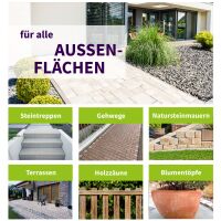 ActiSolan Grünbelagentferner (Konzentrat)