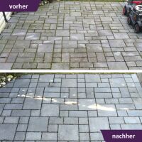 ActiSolan Grünbelagentferner (Konzentrat)