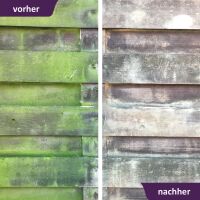 ActiSolan Grünbelagentferner (Konzentrat)