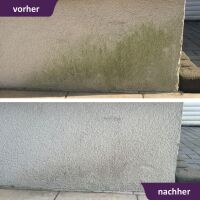 ActiSolan Grünbelagentferner (Konzentrat)