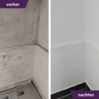 MycoSolan Innenfarbe gegen Schimmel 5,0 Liter (weiß)