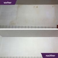 MycoSolan Innenfarbe gegen Schimmel 5,0 Liter (weiß)